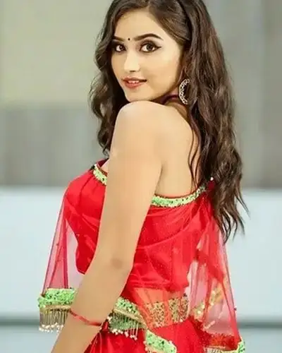 Call Girls Service Lormi